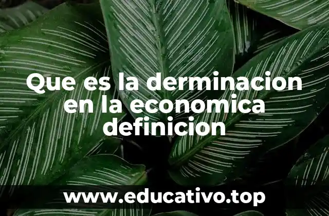 Que es la derminacion en la economica definicion