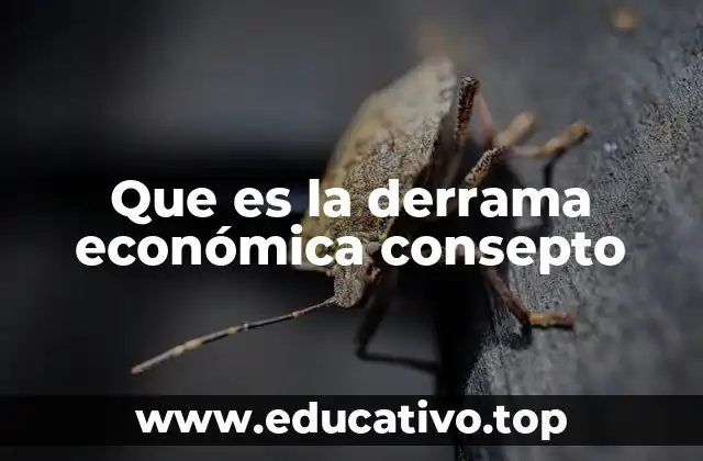 Que es la derrama económica consepto