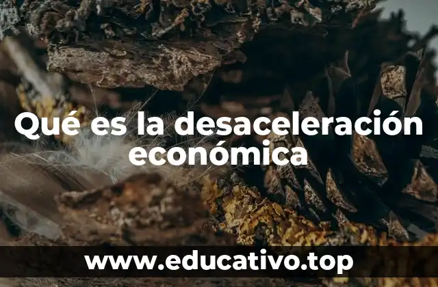 Qué es la desaceleración económica