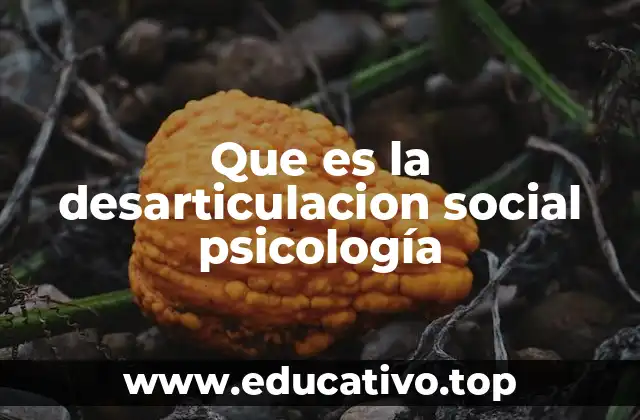 Que es la desarticulacion social psicología
