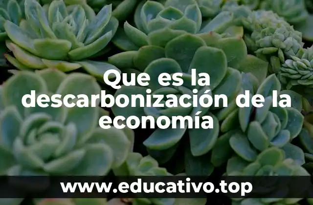 Que es la descarbonización de la economía