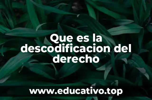 Que es la descodificacion del derecho