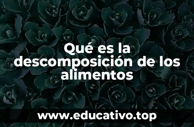 El ciclo natural de la materia orgánica