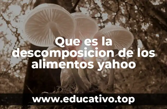 Que es la descomposicion de los alimentos yahoo