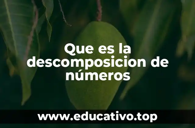 Que es la descomposicion de números