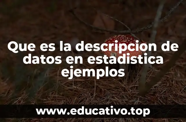Que es la descripcion de datos en estadistica ejemplos
