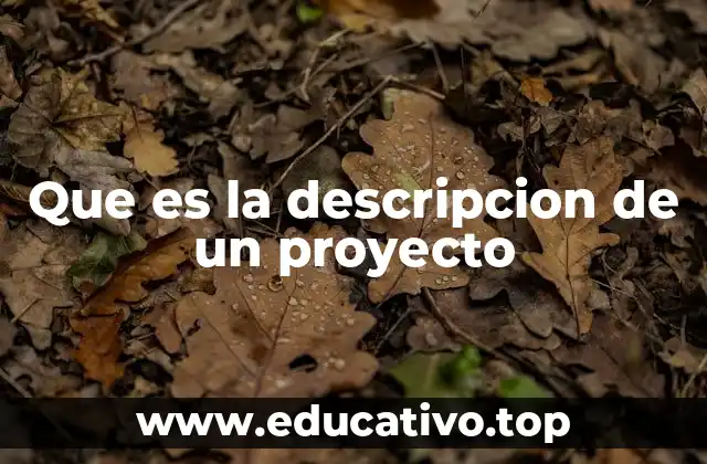 Que es la descripcion de un proyecto