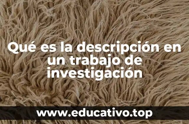 Qué es la descripción en un trabajo de investigación