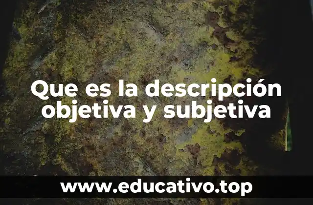 Que es la descripción objetiva y subjetiva