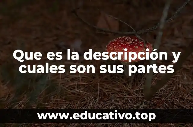 Que es la descripción y cuales son sus partes