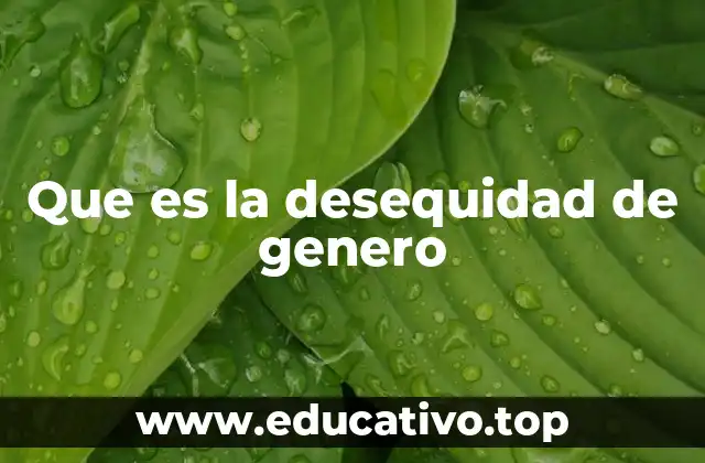 Que es la desequidad de genero