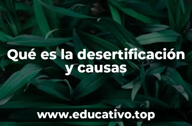 La degradación de los ecosistemas y su relación con la tierra