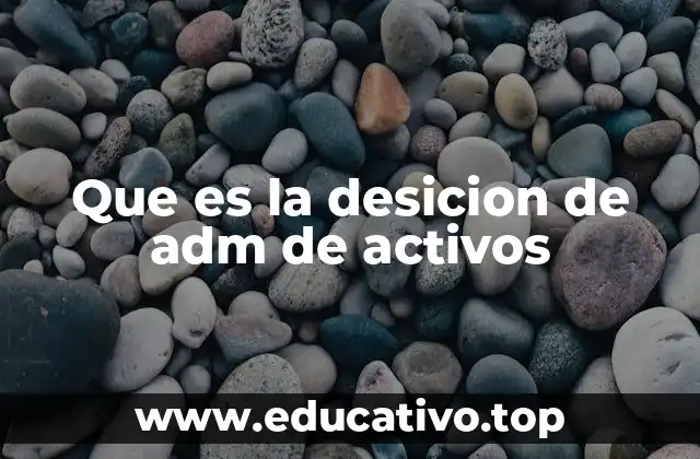 Que es la desicion de adm de activos