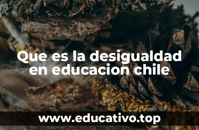 Que es la desigualdad en educacion chile