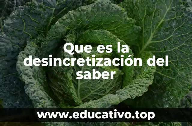 Que es la desincretización del saber