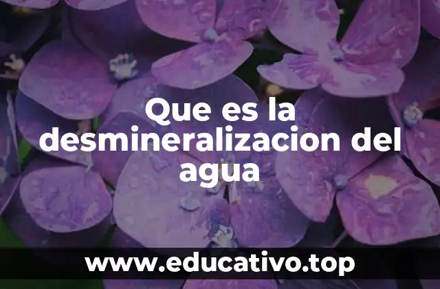Que es la desmineralizacion del agua