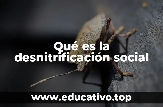 Qué es la desnitrificación social