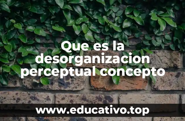 Que es la desorganizacion perceptual concepto