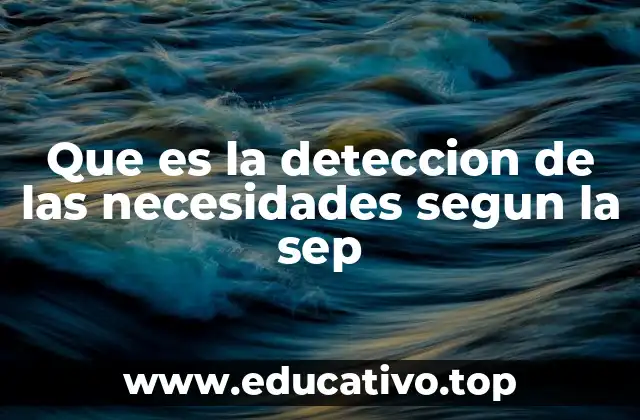 Que es la deteccion de las necesidades segun la sep