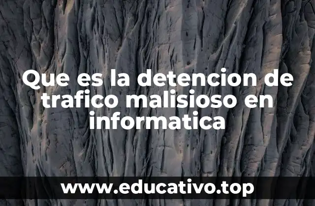 Que es la detencion de trafico malisioso en informatica