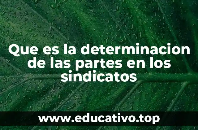 Que es la determinacion de las partes en los sindicatos