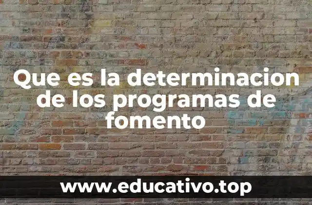 Que es la determinacion de los programas de fomento