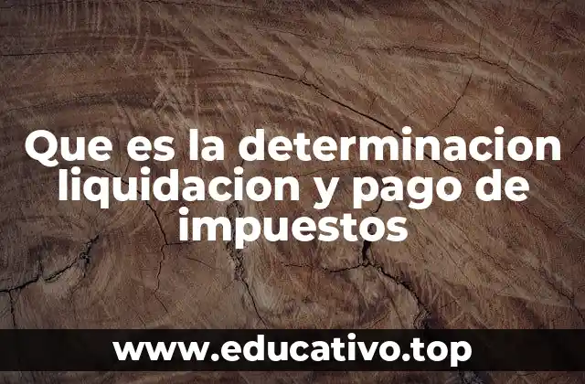 Que es la determinacion liquidacion y pago de impuestos