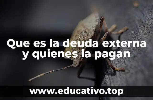Que es la deuda externa y quienes la pagan