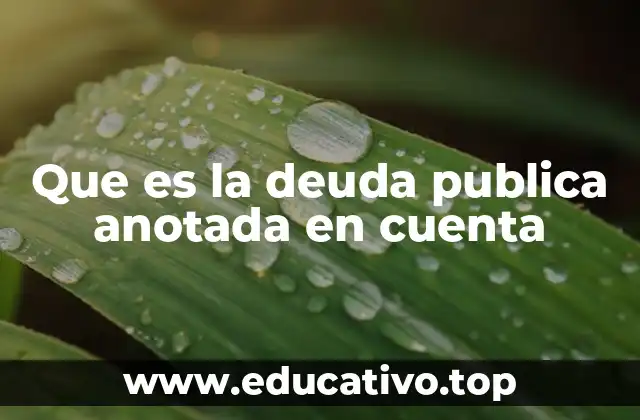 Que es la deuda publica anotada en cuenta
