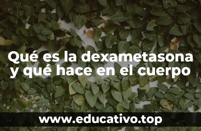 Qué es la dexametasona y qué hace en el cuerpo