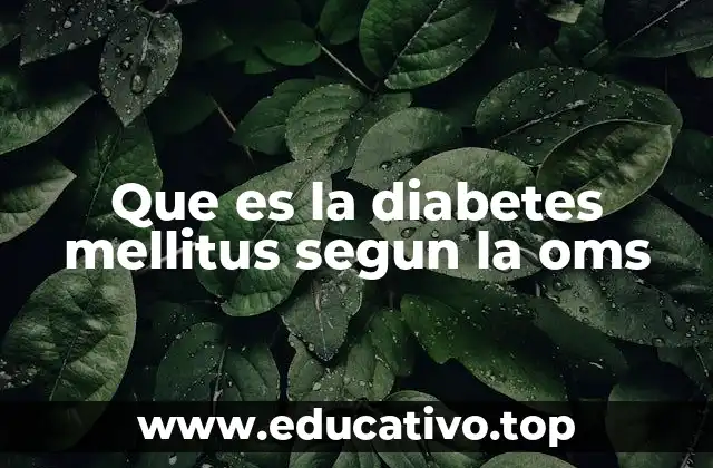 Que es la diabetes mellitus segun la oms