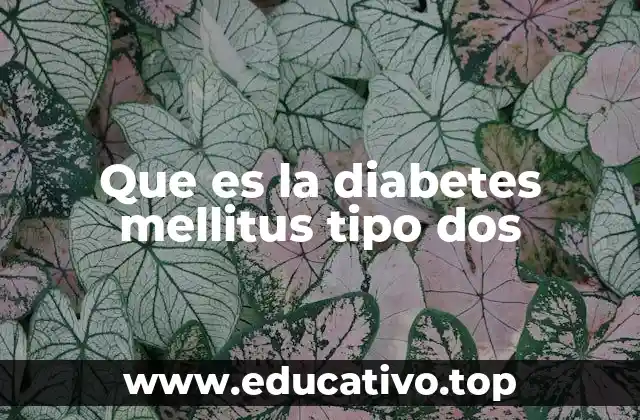 Que es la diabetes mellitus tipo dos