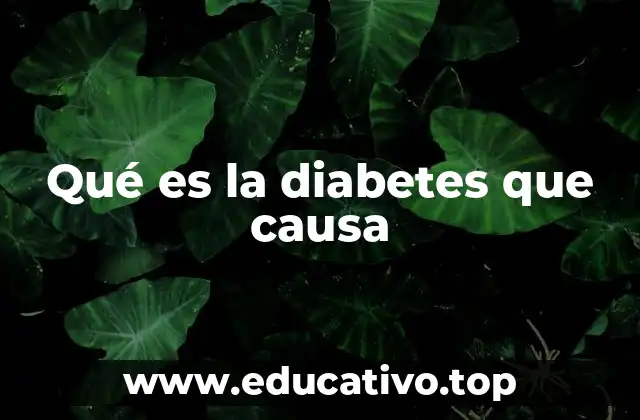 Qué es la diabetes que causa