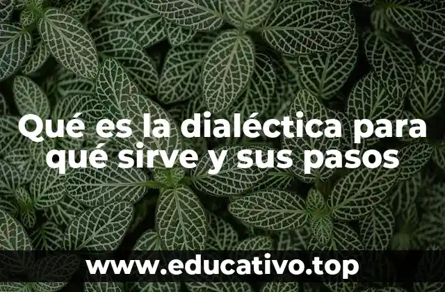 Qué es la dialéctica para qué sirve y sus pasos