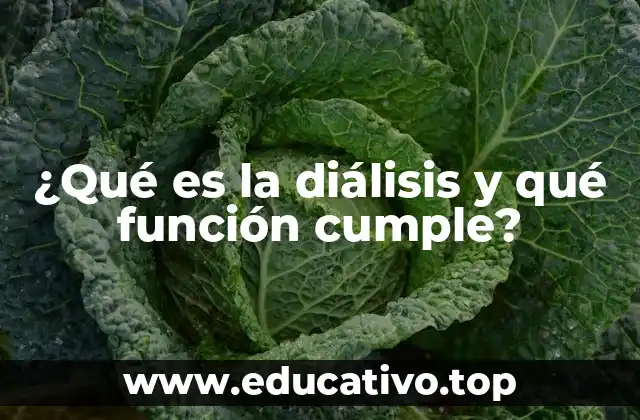 ¿Qué es la diálisis y qué función cumple?