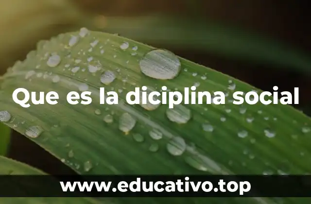 Que es la diciplina social