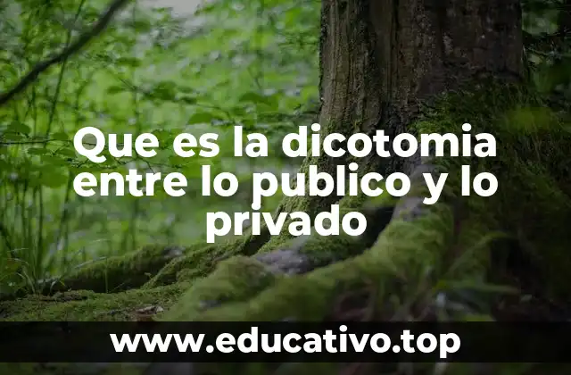 Que es la dicotomia entre lo publico y lo privado