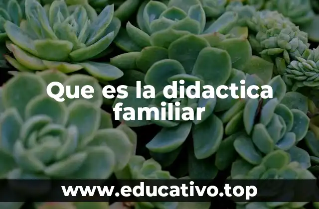 Que es la didactica familiar