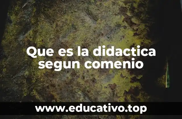 Que es la didactica segun comenio