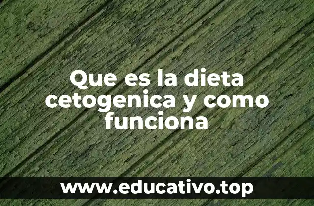 Que es la dieta cetogenica y como funciona