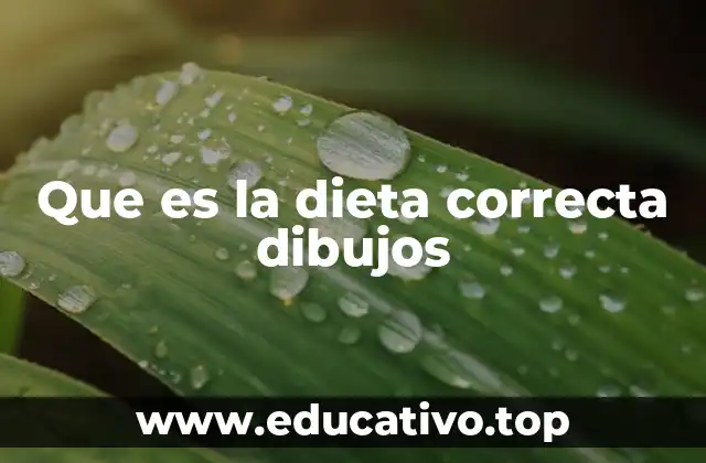 Que es la dieta correcta dibujos