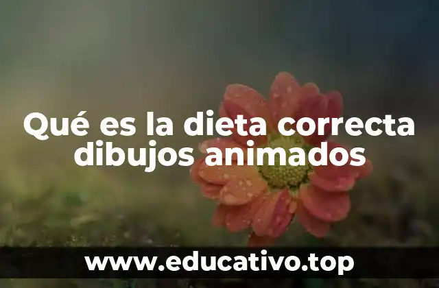 Qué es la dieta correcta dibujos animados
