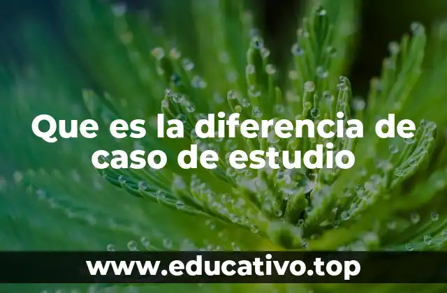 Que es la diferencia de caso de estudio