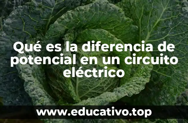 Qué es la diferencia de potencial en un circuito eléctrico