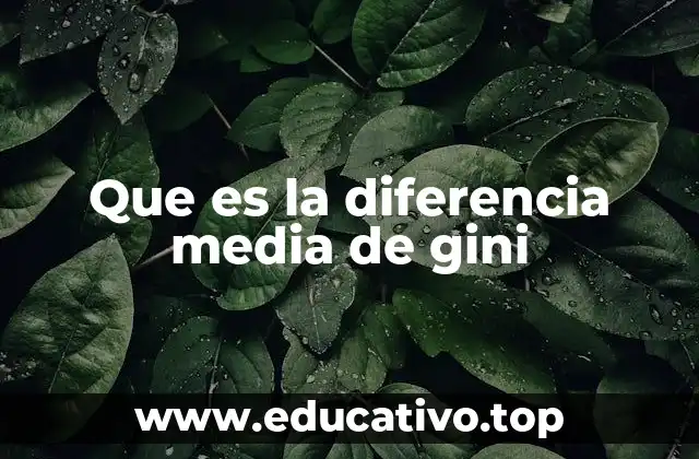 Que es la diferencia media de gini