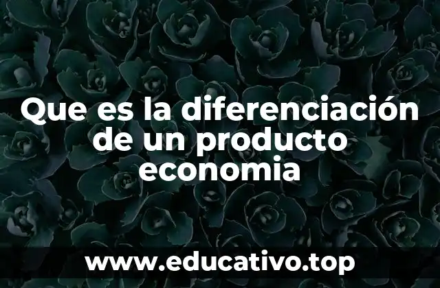 Que es la diferenciación de un producto economia