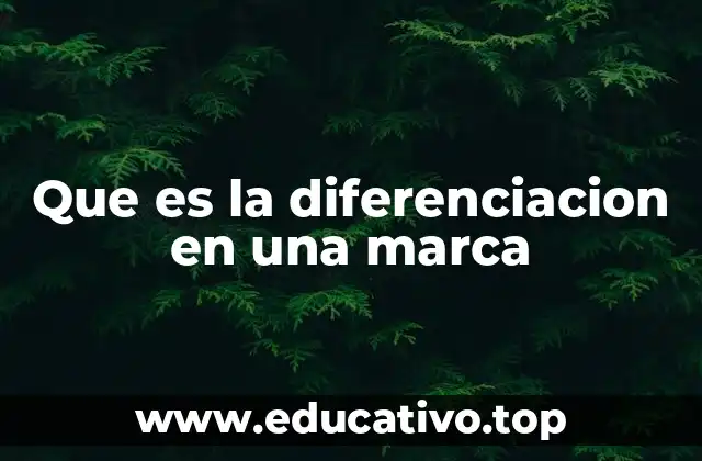 Que es la diferenciacion en una marca