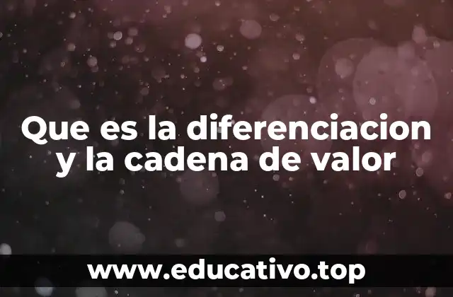 Que es la diferenciacion y la cadena de valor