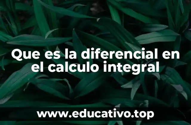 Que es la diferencial en el calculo integral