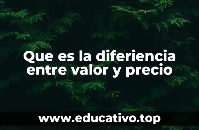 Que es la diferiencia entre valor y precio